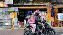 Berburu Hewan Peliharaan di Pasar Barito