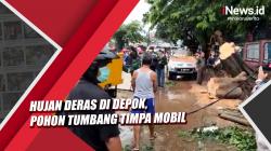 Video Pohon Tumbang Timpa Mobil di Depok usai Hujan Deras