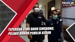 Video Pencuri Daun Singkong Nekat Bunuh Pemilik Kebun di Lampung Utara usai Tepergok
