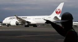 Kura-Kura Jalan di Landasan, Penerbangan Bandara Narita Jepang Ditunda