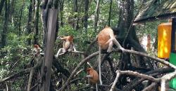 Mengenal Destinasi Wisata di Tarakan, Unik Ada Sejarah Peninggalan Perang Dunia II