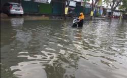  Hujan Sejam, Kampung Cebolok Semarang Terendam Banjir Setengah Meter<