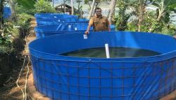 Jelang Sterilisasi KJA, Pembudi Daya Ikan Waduk Saguling KBB Jajaki Kolam Darat