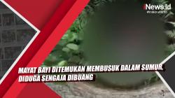 Video Mayat Bayi di Lampung Ditemukan Membusuk dalam Sumur, Diduga Sengaja Dibuang