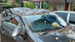 Hujan Deras Disertai Angin Kencang di Ciputat, Mobil Ringsek Tertimpa Pohon 