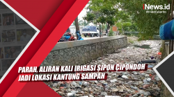 Video Parah, Aliran Kali Irigasi Sipon Cipondoh Jadi Lokasi Kantung Sampah