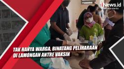 Video  Tak Hanya Warga, Binatang Peliharaan di Lamongan Antre Vaksin