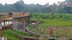 Wisata BTS Perpaduan Kuliner dan Pemandangan Persawahan