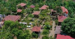 Mengenal Kampung Kopi di Lampung Barat, Alamnya Indah Bisa Wisata Edukasi