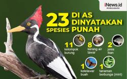 Infografis 23 Spesies Satwa di AS Dinyatakan Punah