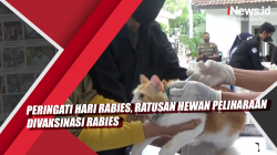 Video Peringati Hari Rabies, Ratusan Hewan Peliharaan Divaksinasi Rabies