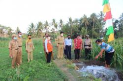 Gunungkidul Sulap Lahan Kering Jadi lahan Pertanian Produktif, Begini Caranya