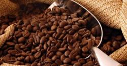 Ternyata Ini Alasan Kopi Sidikalang Mirip Kopi Brasil yang Terbaik di Dunia 