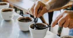 Selain Barista, Ini Dia Para Peracik Kopi yang Belum Diketahui Banyak Orang