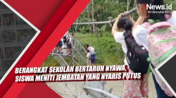 Video Berangkat Sekolah Bertaruh Nyawa, Siswa di Nias Utara Meniti Jembatan yang Nyaris Putus