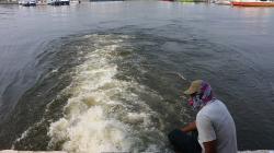 Pencemaran Lingkungan di Pesisir Utara Jakarta