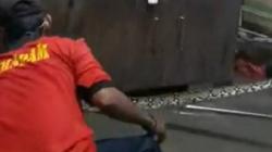 Ular Sanca Melilit di Kolong Lemari Rumah Warga Tangsel, Tim Rescue Kewalahan Evakuasi <