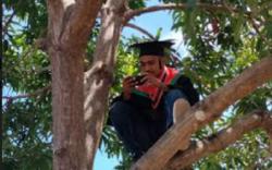 Sulit Akses Internet, Wisudawan Ini Ikut Wisuda dari Atas Pohon