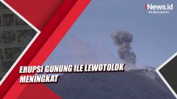 Video Erupsi Gunung Ile Lewotolok Meningkat, Warga Diminta Waspada
