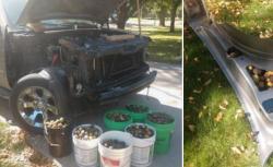 Viral Kap Mesin Mobil Ini Dipenuhi Buah Curian Seekor Tupai, Ada 7 Ember 