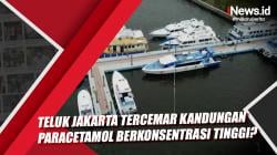 Teluk Jakarta Tercemar Kandungan Paracetamol Berkonsentrasi Tinggi?