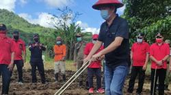 Menuju Swasembada Pangan, Tomohon Gunakan Teknologi Unggul Pacu Produktivitas Jagung