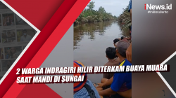 Video 2 Warga Indragiri Hilir Diterkam Buaya Muara saat Mandi di Sungai
