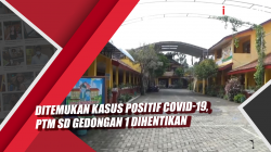 Video Ditemukan Kasus Positif Covid-19, PTM SD Gedongan 1 Dihentikan
