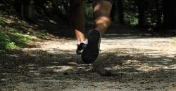 4 Tempat Jogging di Banjarnegara yang Patut Dikunjungi