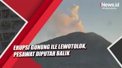 Video Erupsi Gunung Ile Lewotolok Ganggu Penerbangan, Pesawat Diputar Balik