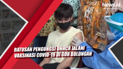Video Ratusan Pengungsi UNHCR Jalani Vaksinasi Covid-19 di GOR Bulungan