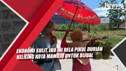 Video Ekonomi Sulit, Ibu Ini Rela Pikul Durian Keliling Kota Mamuju untuk Dijual