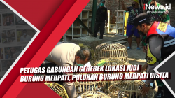 Video Petugas Gabungan Gerebek Lokasi Judi Burung Merpati, Puluhan Burung Merpati Disita