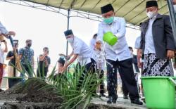 Tanam Pohon Kurma di MAJT, Jusuf Kalla Berharap Bisa Berbuah seperti di Timur Tengah