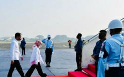 Kegiatan Presiden Jokowi di Bali, Tanam Mangrove dan Tinjau Lokasi KTT G20