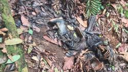 2 Minggu Tak Terlihat, Petani Karet di Muratara Ditemukan Sudah Jadi Tengkorak di Jurang<