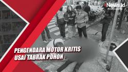 Video Pengendara Motor Kritis usai Tabrak Pohon di Kebon Jeruk
