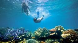 Spot Snorkeling di Belitung, Keindahan Alam Bawah Laut Negeri Laskar Pelangi