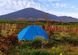 5 Tempat Camping di Lombok Timur NTB dari Gunung hingga Pantai