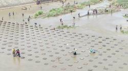 Pintu Air Ditutup, Ratusan Warga di Sukoharjo Berburu Ikan di Dam Colo 