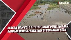 Video Berkah, Dam Colo Ditutup untuk Pemeliharaan, Ratusan Warga Panen Ikan di Bengawan Solo