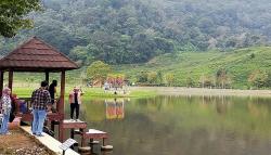 5 Tempat Wisata di Megamendung, Cocok Berlibur Bersama Keluarga