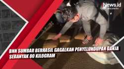 Video BNN Sumbar Berhasil Gagalkan Penyelundupan Ganja Sebanyak 80 Kilogram