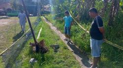 Warga Agam Panik, Muncul Semburan Bau Belerang di Pinggir Danau Maninjau 