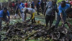 Mengenal Tradisi Bakar Batu di Papua, Ritual Memasak Suku Dani<