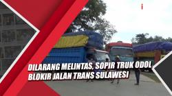 Video Sopir Truk Odol Blokir Jalan Trans Sulawesi akibat Dilarang Melintas