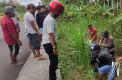 Motor Terjun ke Sawah, Perempuan Kulonprogo Tewas saat Dievakuasi 