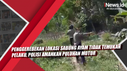 Video Penggerebekan Lokasi Sabung Ayam Tidak Temukan Pelaku, Polisi Amankan Puluhan Motor