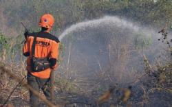 Karhutla Kalsel Menurun, BPBD: Bantuan Helikopter Cepat Merespons