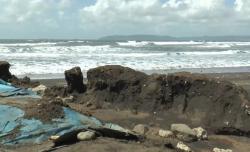 Tanggul Pantai Lengkong Cilacap Jebol Tergerus Abrasi, Puluhan Tambak Udang Hancur